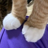 양도거래 (@_eun12__) 's Twitter Profile