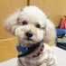 チャロ* (@charomama0907) Twitter profile photo チャロ* (@charomama0907) Twitter profile photo