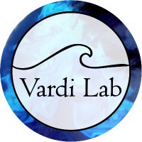 @vardilab(@vardilab) 's Twitter Profileg