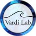 @vardilab (@vardilab) Twitter profile photo