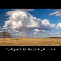 لافي الشيباني (@bastam58) 's Twitter Profile