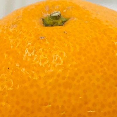 katuk0_8's profile picture. 馬鹿め！奴は死んだわ！！！！！