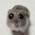 alyx but sus (@maiponkanade) Twitter profile photo alyx but sus (@maiponkanade) Twitter profile photo