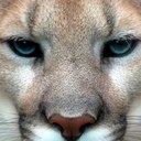 Alex Hardwick - @A_Demetre_H - Twitter