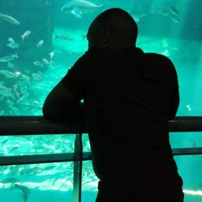 raizorlsg's profile picture. Just chillin