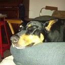 Thomas Spalding - @xterra84 - Twitter