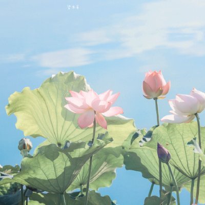 nauqadeliauk's profile picture. 👩‍💻👩‍🔧🧙‍♀️