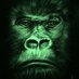 Goryl Huk (@gorilhuku) Twitter profile photo Goryl Huk (@gorilhuku) Twitter profile photo