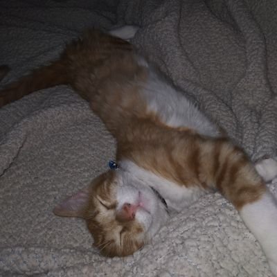 Karoll_Anaa's profile picture. 