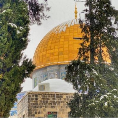 • يُعانِقني شوقي فَأبكِي ، ربّاهُ للقُدسِ خُذني 🇵🇸♥️. #ذات_قلبٍ_صافي_يرتقي_بالقرآن