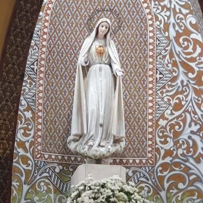 Sou mãe avó bisavó que amo minha família. Sou Patriota quero um país
livre do comunismo.Sou anti PT.