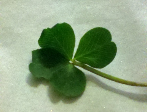 jamisontileinc's profile picture. Ceramic and stone installer and designer. Family owned and operated specializing in custom homes on the Maine coast.