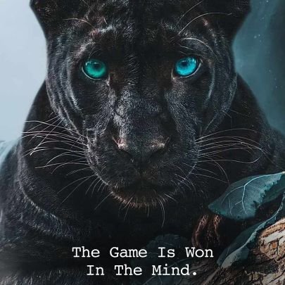 Deva6392's profile picture. BE POSITIVE,THINK POSITIVE,DO POSITIVE.