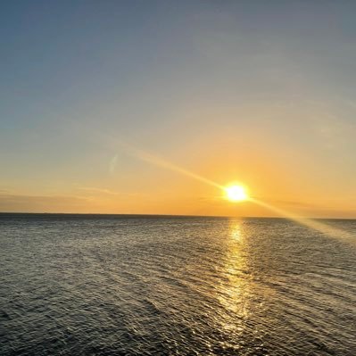 sandrajgc1's profile picture. 