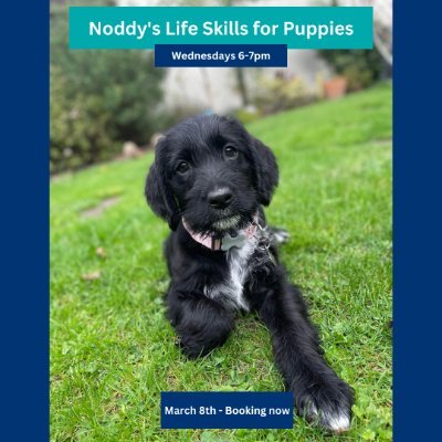 mountnoddy's profile picture. A self funded branch of the RSPCA. Responsible for running the Mount Noddy Animal Centre in Eartham.