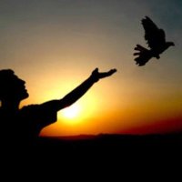 Loyang Güneşi (@loyang_j) Twitter profile photo