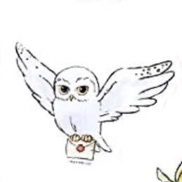 むいさんのプロフィール画像