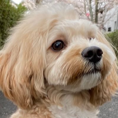 mashio777's profile picture. hallo