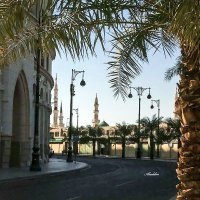 سعید الفت (@fj1g2jr6raa8svq) 's Twitter Profile