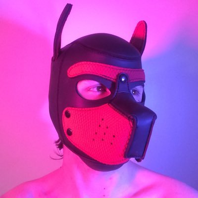 Submissive pup, boy, and even a shiny Gimp. Attempting to live his best kink filled life 😉😈 (He/Him)  Recon: SubScottish