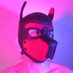 Pup Rio//SubScottish (@subscottish) Twitter profile photo Pup Rio//SubScottish (@subscottish) Twitter profile photo
