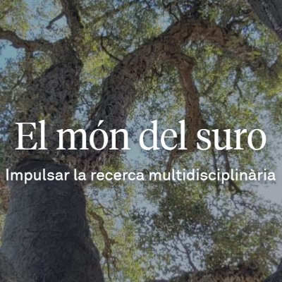 Càtedra d'Estudis del Suro