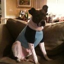 Charles Pemberton - @therealchuckyp - Twitter