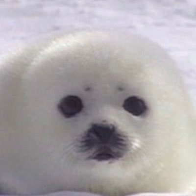SISIさんのプロフィール画像