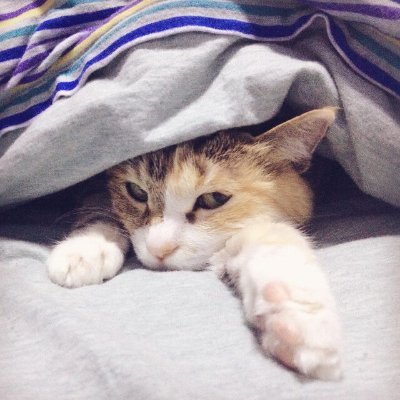 Vanward888's profile picture. 