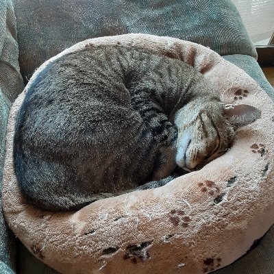 fsKeXqm2otETF2m's profile picture. 18↑
fgoと原神   デイぐだ♀があつい
無言フォロー失礼しますm(_ _)m