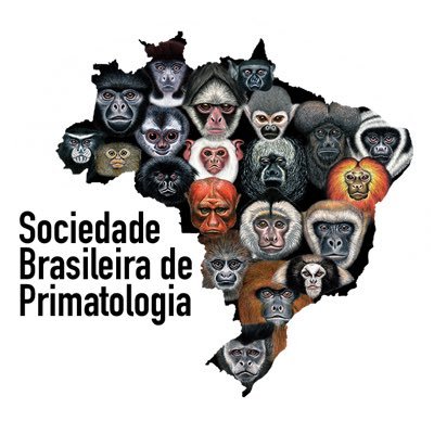 sbprimatologia Profile Picture