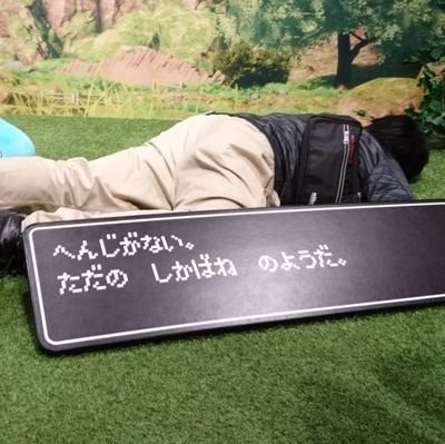 ya-naさんのプロフィール画像
