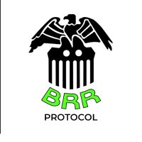 BRR Protocol (🖨️,💵) (@brrprotocol) 's Twitter Profile