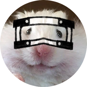 zzz고멍zzzさんのプロフィール画像
