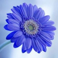 Kayal (@kayal82973707) 's Twitter Profile Photo Kayal (@kayal82973707) 's Twitter Profile Photo