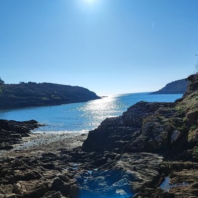 LexiBreizh's profile picture. Des animaux, de la nature, de la Bretagne, de la vie, de l'avocature