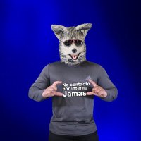 BITLOBO 🐺 (@bitlobotrading) 's Twitter Profile
