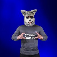 BITLOBO 🐺(@BITLOBOInvers) 's Twitter Profile Photo