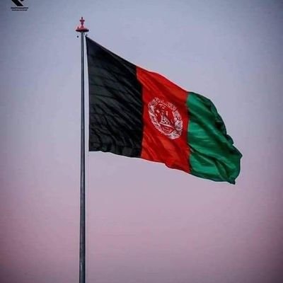 الحمد لله داسی مسلمان یم چی لاس می د چا په وینو رنګ نه دی بیا الحمد لله چی د پنجاب د مزدوری دی ساتلی یم او خپل ګران هیواد ته وفادار افغان یم
