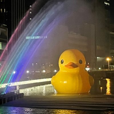 reroux23's profile picture. るる〜と申します🐈。神戸在住の一生Hyphen 、亀担です🐢💋🐢💋🐢💘💘💘迷子にならずについていきます🌟ずっとずっとKAT-TUN 大好き💗💙💜。Hyphen であることを誇りに思います✨