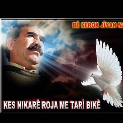 ey hayat ya seni özgür yaşayacağım
yada seni yaşanmamış sayacağim