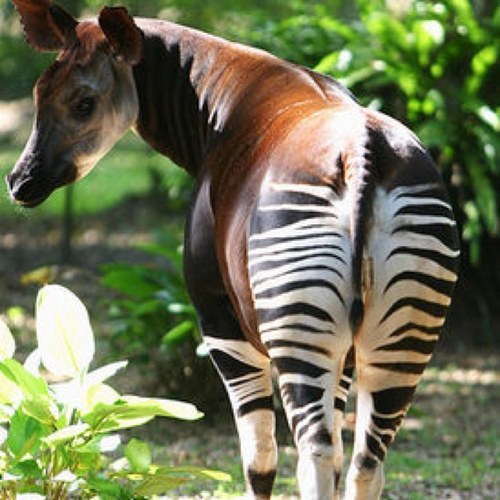 kaoruaykroyd's profile picture. primalscream/gang of four/jeff buckley/minor threat/richard hell/the flaming lips/広島カープ/味噌味/           色々頑張ろう     no nukes!!