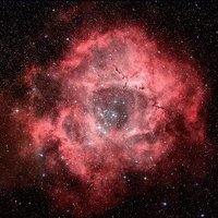 Dreamliner (@cokki1192) 's Twitter Profile