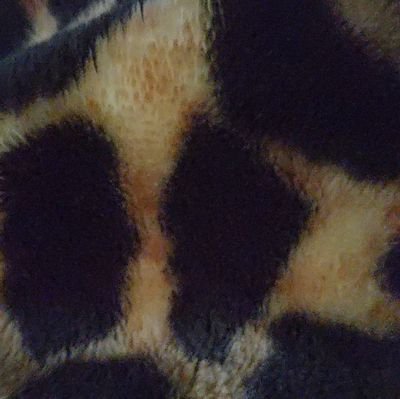 dynaworx_sales's profile picture. just an expat living in canada 🇨🇦