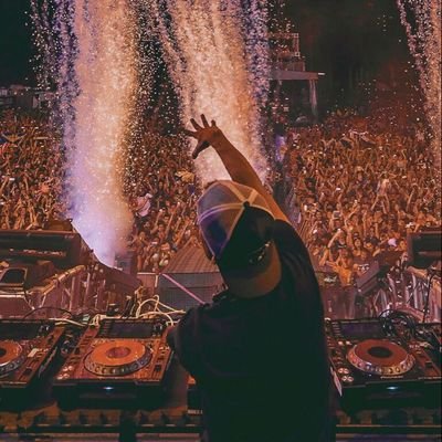 fã do melhor Dj do mundo inteiro. Avicii