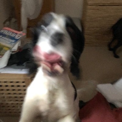 Mildlyagreeable's profile picture. I'm not a consensual cannibal