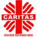 Caritas Butembo Beni (@caritasdbb) Twitter profile photo