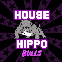 House Hippo Bulls(@HouseHippoBulls) 's Twitter Profile Photo