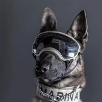 Last (@diledolanansark) 's Twitter Profile