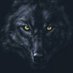 perico (@mananeroa) Twitter profile photo perico (@mananeroa) Twitter profile photo